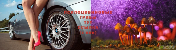 винт Алексеевка