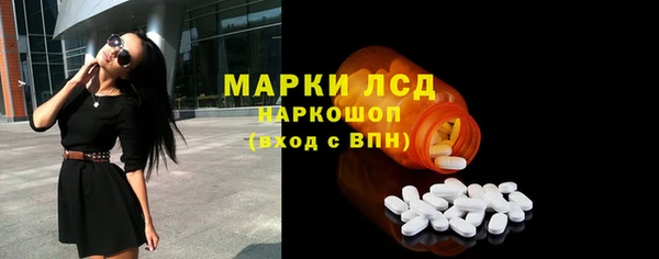 гидра Алзамай